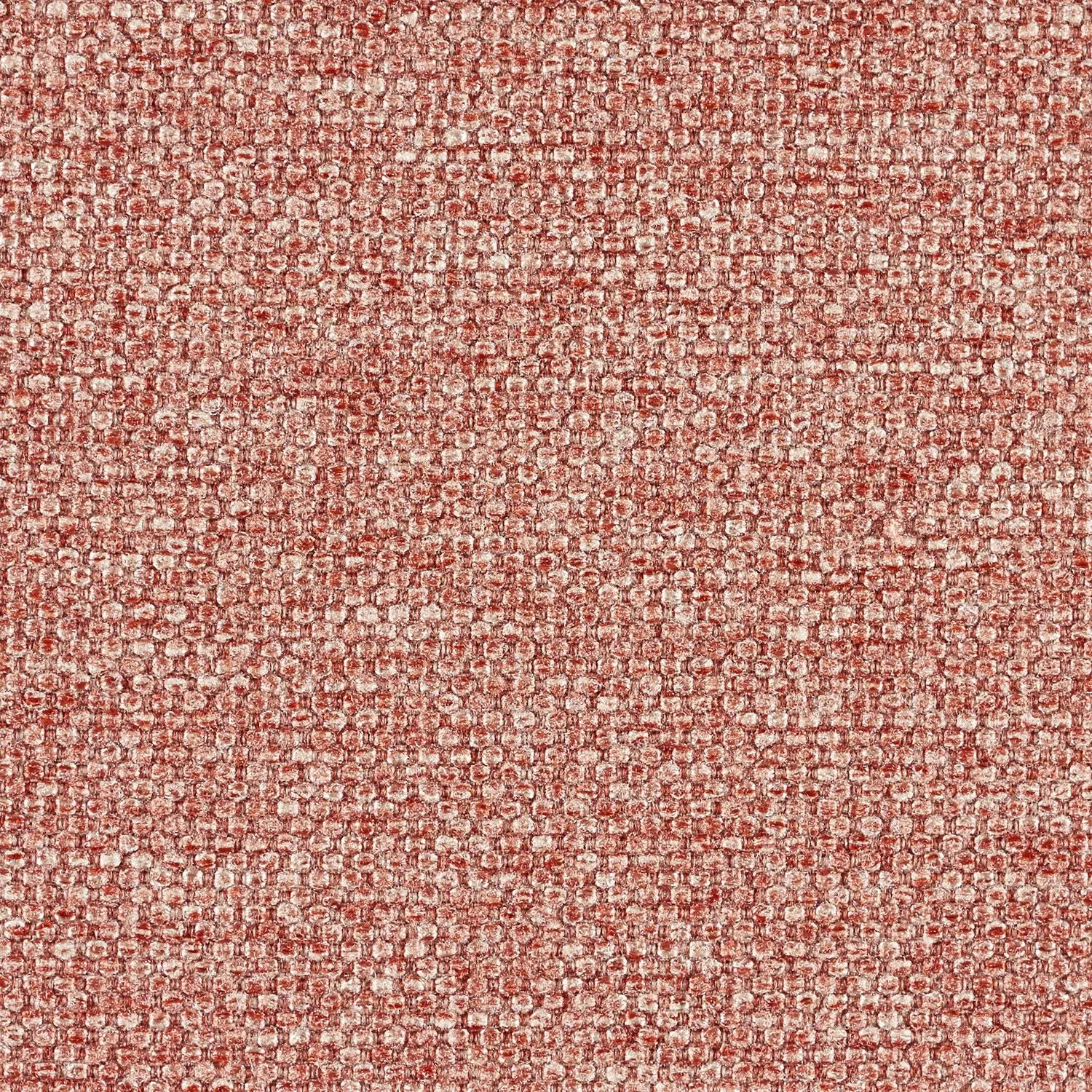 DIGI TWEED MEMO SAMPLE