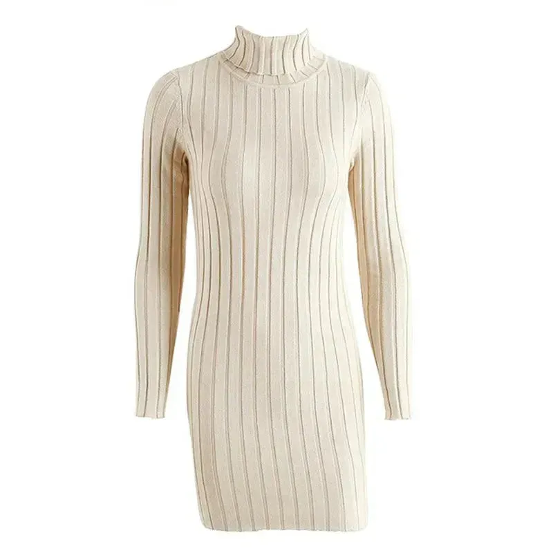 Knitted Mini Slim fit Wool Turtleneck Bodycon Sweater dress