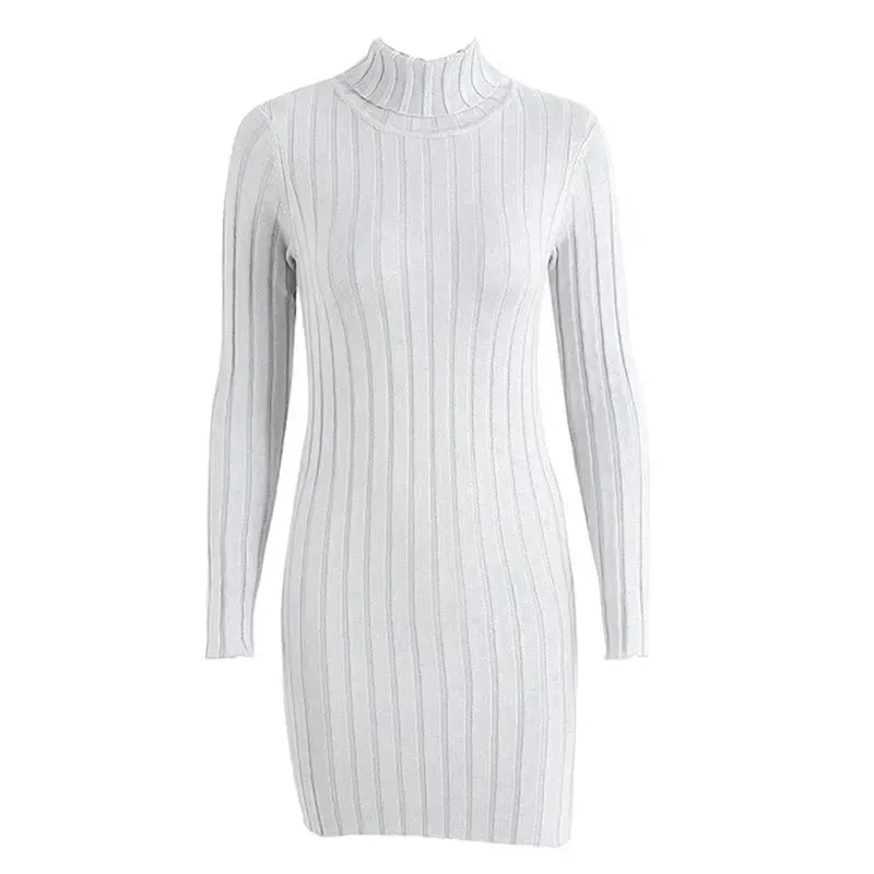 Knitted Mini Slim fit Wool Turtleneck Bodycon Sweater dress