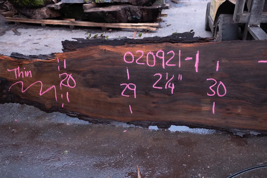 Oregon Black Walnut Slab 020921-01