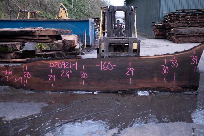 Oregon Black Walnut Slab 020921-01