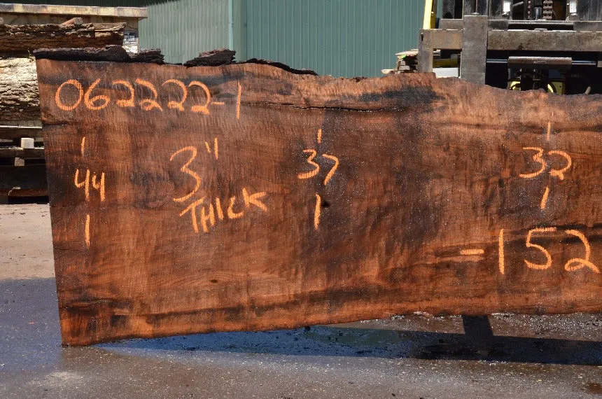 Oregon Black Walnut Slab 062222-01