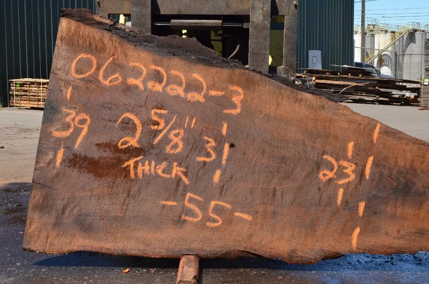 Oregon Black Walnut Slab 062222-03