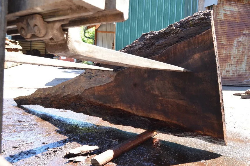 Oregon Black Walnut Slab 062222-03