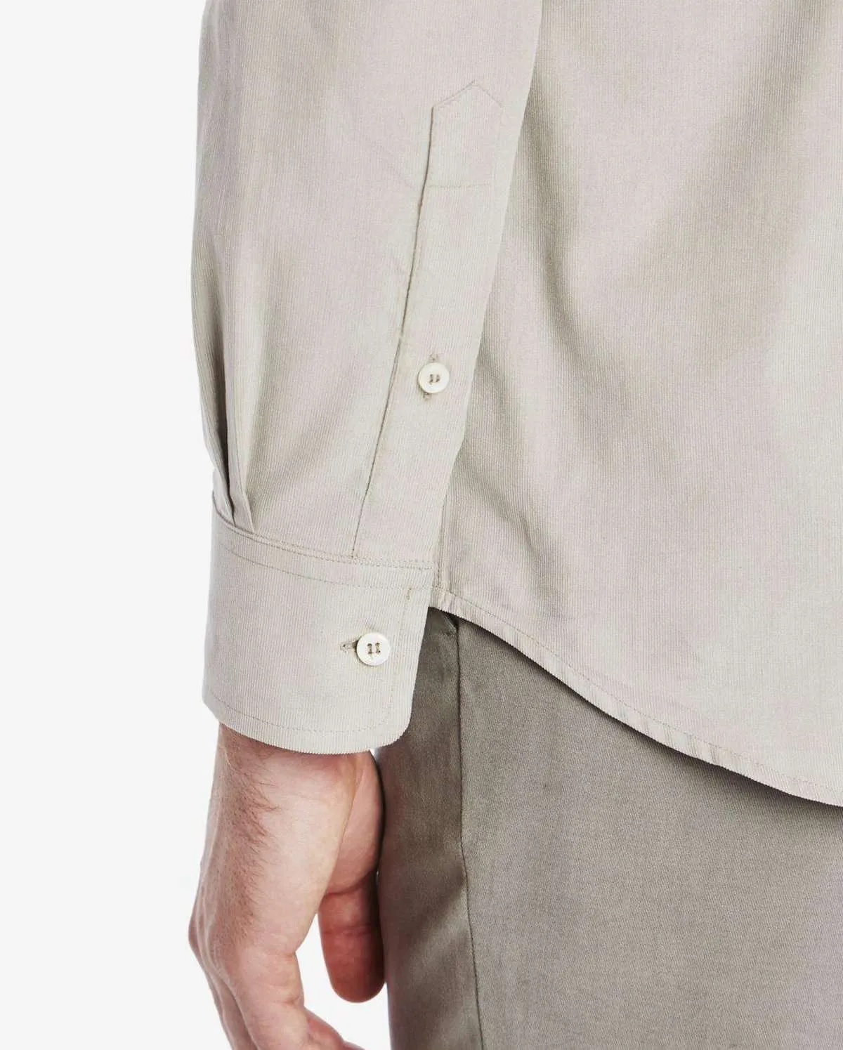 The Cord Plain Collar